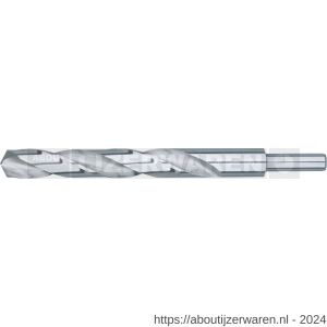 Rotec 105 HSS-G spiraalboor DIN 338 type N d2=10 diameter 15,0x114x169 mm - W50900691 - afbeelding 1