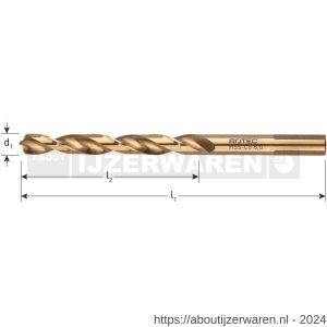 Rotec 116 HSS-E spiraalboor DIN 338 TOP-X type N diameter 6,8x69x109 mm set 10 stuks - W50911979 - afbeelding 2