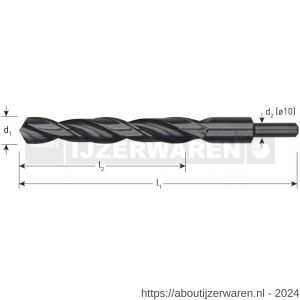 Rotec 121 HSS-R spiraalboor DIN 338 type N d2=10 diameter 17,5x130x195 mm - W50901559 - afbeelding 2