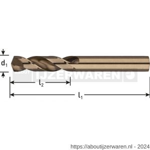 Rotec 132 HSS-E plaatwerkboor DIN 1897 type N diameter 3,7x20x52 mm set 10 stuks - W50901674 - afbeelding 2