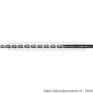 Rotec 165 HSS-E spiraalboor DIN 1869 TLS 1000 diameter 4,2x120x175 mm - W50902352 - afbeelding 1