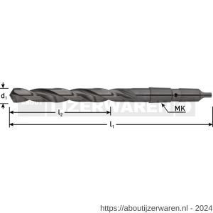 Rotec 174 HSS-G MK3-spiraalboor DIN 341 type N koelkanalen diameter 17,0x159x279 mm - W50902595 - afbeelding 2