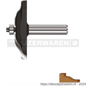 Rotec 271 HM platbandfrees Gold-Line diameter 76,2 mm Z=2 d2=12 mm - W50904889 - afbeelding 1