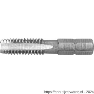 Rotec 317 HSS-G tap-bit 1/4 inch 3126 C6.3-bit-aansluiting M5 - W50905228 - afbeelding 1