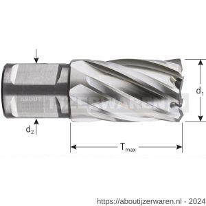 Rotec 536 HSS kernboor Silver-Line Weldon 19 diameter 54x30 mm - W50908076 - afbeelding 2