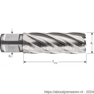 Rotec 536 HSS kernboor Silver-Line Weldon 19 diameter 41x55 mm - W50908022 - afbeelding 2