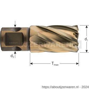 Rotec 537 HSS-XE kernboor Gold-Line universeel 19 diameter 30x30 mm - W50908146 - afbeelding 2