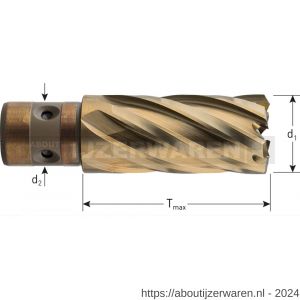 Rotec 539 HSS-XE kernboor Gold-Line Quickin 18 diameter 55x40 mm - W50908244 - afbeelding 2