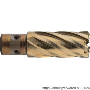 Rotec 539 HSS-XE kernboor Gold-Line Quickin 18 diameter 14x40 mm - W50908219 - afbeelding 1