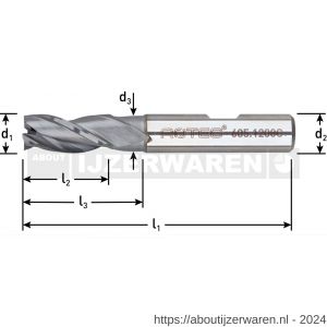 Rotec 605 HSS-E universeelfrees DIN 884 kort AlCrN-gecoat diameter 2,5 mm - W50909341 - afbeelding 2