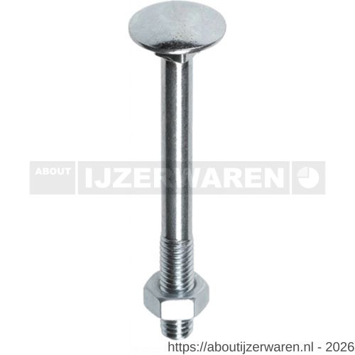 Herag slotbout met moer DIN 603/555 M5x40 mm 4.8 verzinkt - W40882097 - afbeelding 1