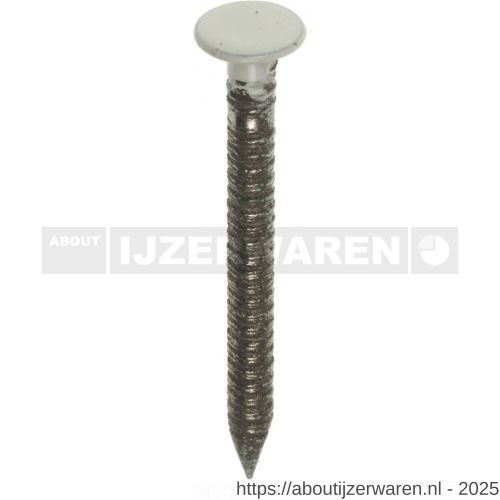 Rockpanel nagel 2.9x35 mm RVS A4 antracietgrijs RAL 7016 - W40895006 - afbeelding 1