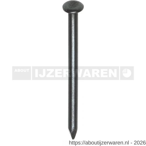 HJZ nagel 4.2x100 mm bolverzonken kop blauw 1 kg - W40870105 - afbeelding 1