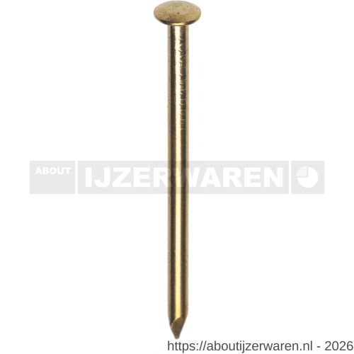 HJZ nagel 2.4x50 mm bombe kop messing 1 kg - W40870049 - afbeelding 1