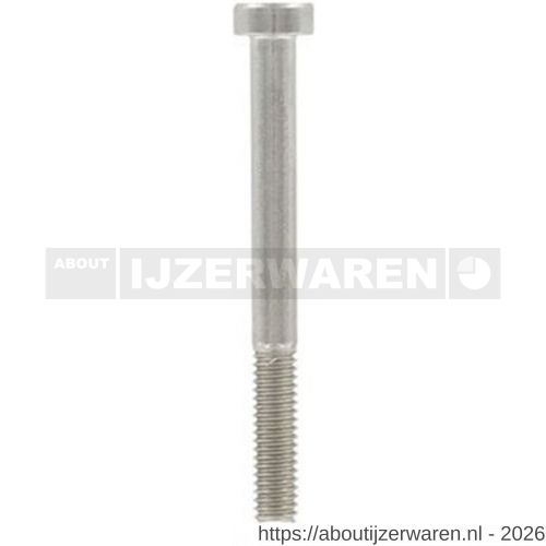 ASF binnenzeskantbout DIN 7984 M20x120 mm RVS A4 - W40820893 - afbeelding 1