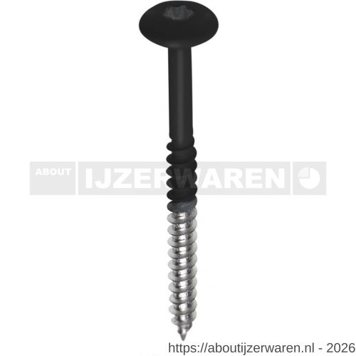 Fisinox kleurkopschroef 4,8x38 mm Torx TX 20 RVS A2 AISI 304 Trespa A9000 zwart - W40883401 - afbeelding 1
