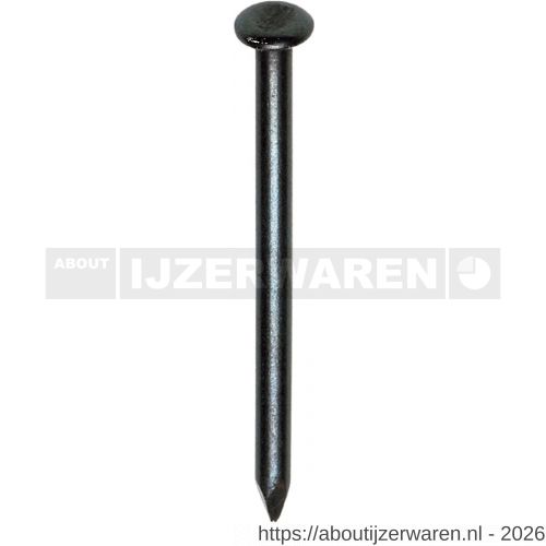 HJZ nagel 3.5x60 mm bolverzonken kop blauw 2.5 kg - W40870321 - afbeelding 1
