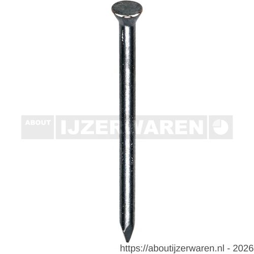 HJZ nagel 4.2x100 mm plat-conisch kop blauw 1 kg - W40870300 - afbeelding 1