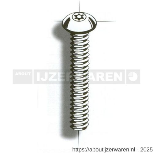 Groen Bevestigingsmaterialen anti-diefstal bout Resis-TX M8x20 mm RVS A2 176510 - W11550076 - afbeelding 1