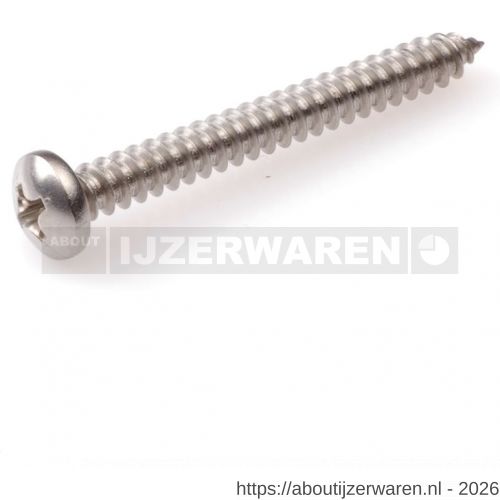 Hoenderdaal plaatschroef RVS A2 cilinderkop CK Phillips PH 3 DIN 7981C zelftappend 6.3x45 mm 100 stuks - W51404640 - afbeelding 1