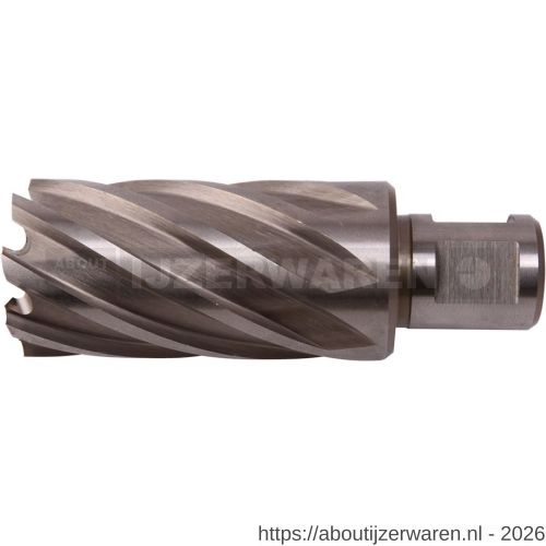 Labor LN440500 kernboor HSS-Co8 % M42 voor magneetboormachine Weldon 44.0x50 mm koker - W50304112 - afbeelding 1